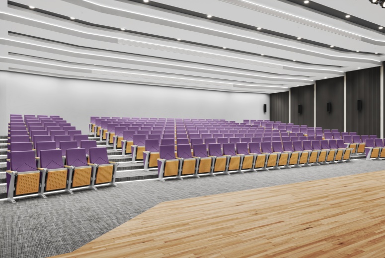 Auditorium chair
