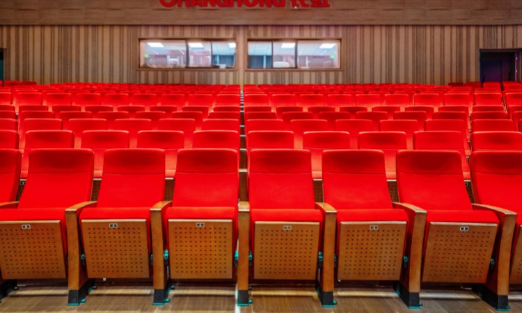 Auditorium Chairs